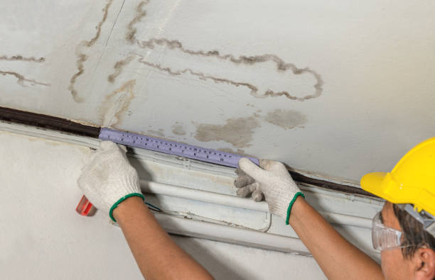 Reliable Burst Pipe Cleanup contractor in Madisonville, KY by Water Damage Irwin